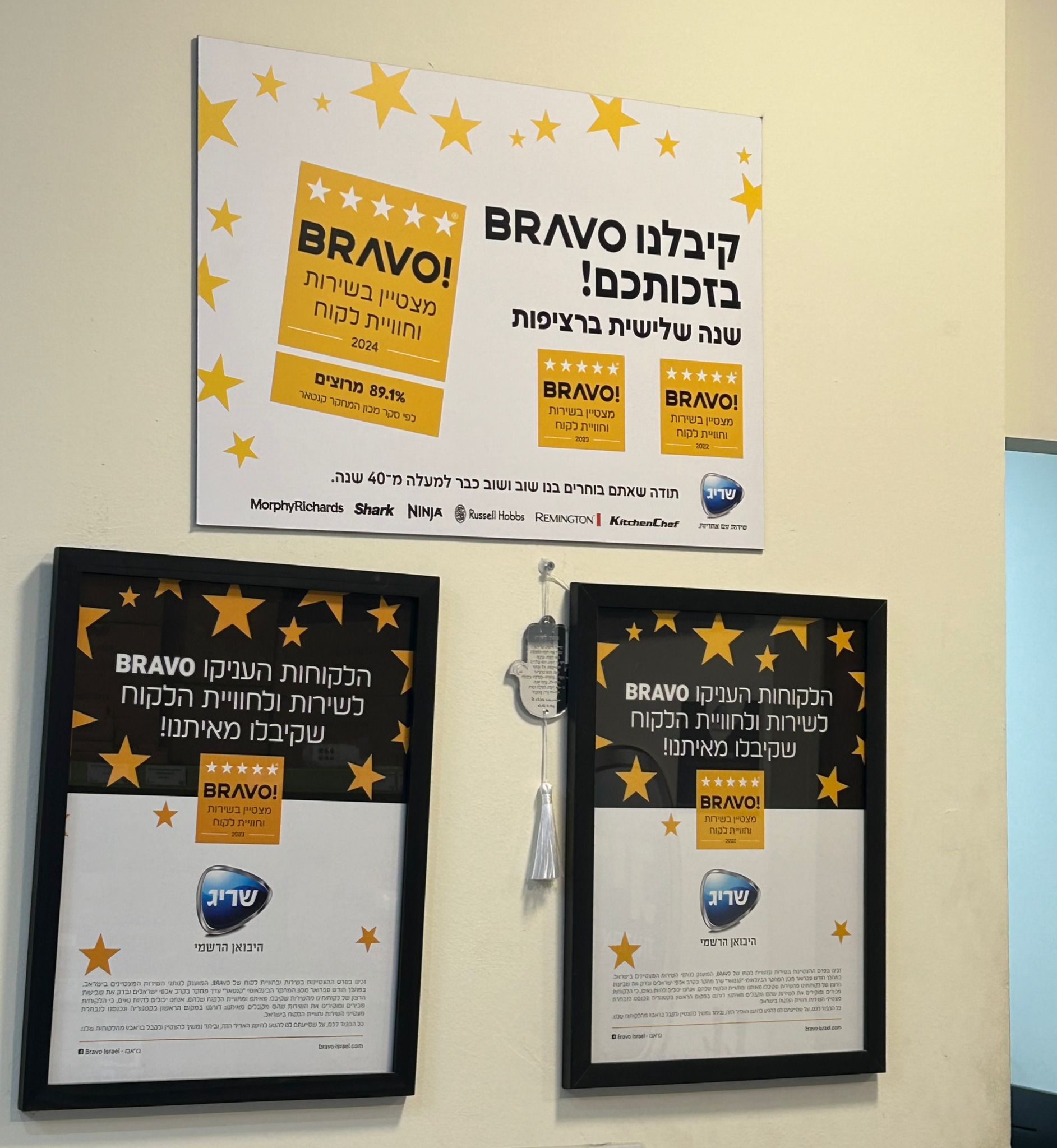 שימוש בלוגו שריג 2